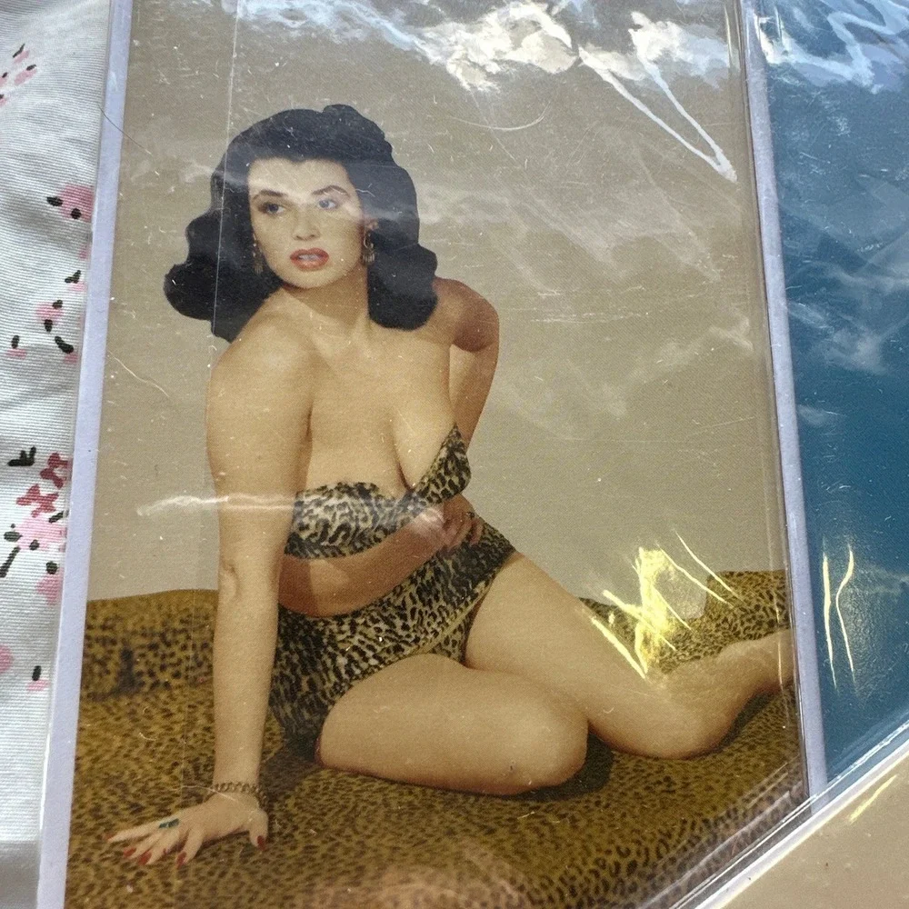 Pinup Girl Greeting Cards Set of 9 NEW Sealed with Envelopes 4 Designs